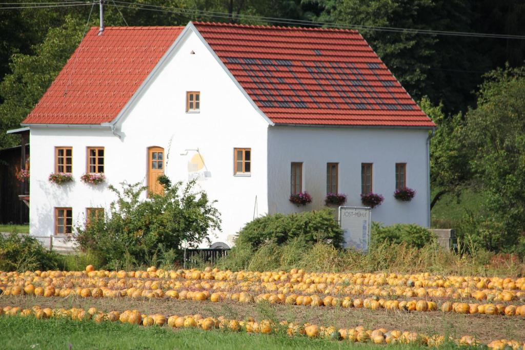 Buchgrabenhof Apartamento Windisch Minihof Exterior foto